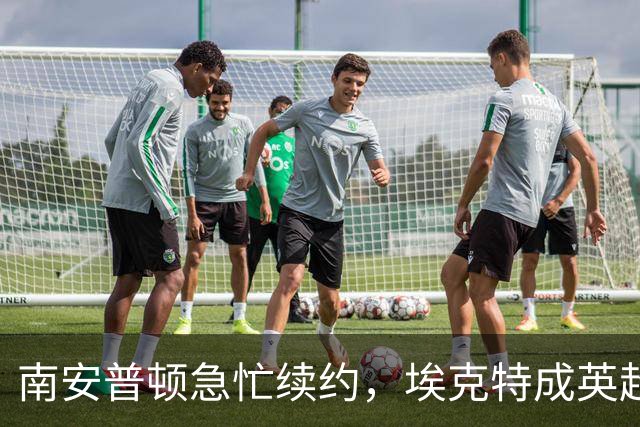 南安普顿急忙续约，埃克特成英超香饽饽